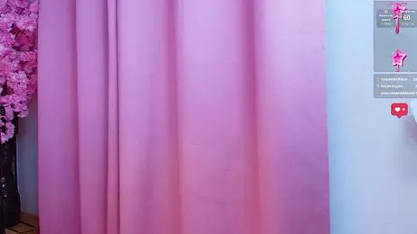 AuroraSim webcam model stream image