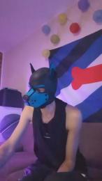 Pup_Hunter_1987 webcam model stream image