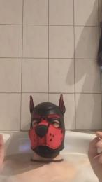 Pup_Hunter_1987 webcam cam4 model stream image