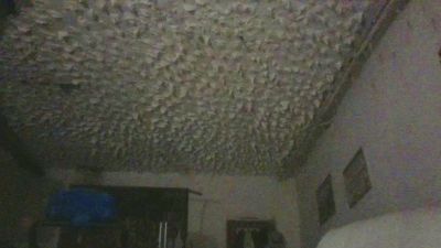 jesusjb24 webcam model stream image