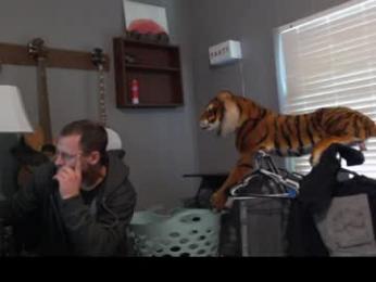 jameswebbscope webcam model stream image