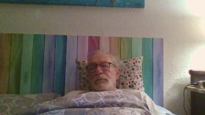 Leafars webcam model stream image