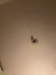 SophiiaStarr webcam stripchat model stream image