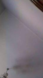 Polka9000 webcam model stream image