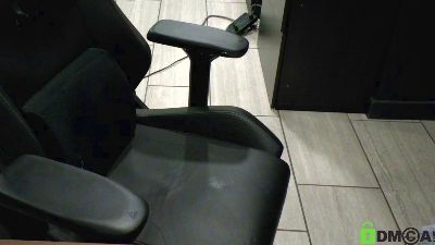 IndianaBear webcam model stream image