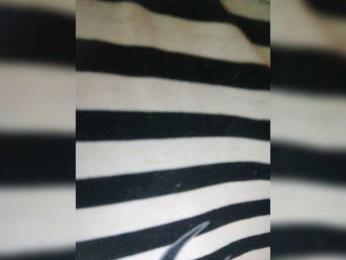 Lilo-Stitch webcam model stream image