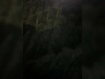 fierynight77 webcam model stream image