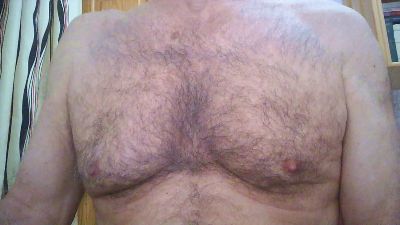 elcanarion webcam model stream image