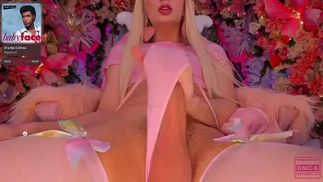 SpicySluts webcam stripchat model stream image