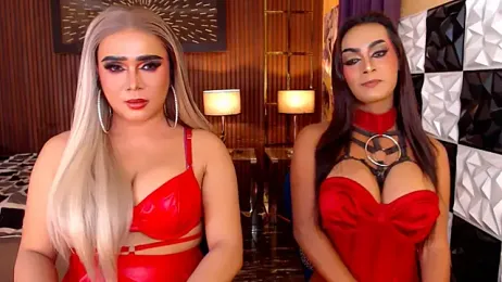 SeductiveAshleyTS webcam stripchat model stream image