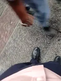 boyfromMum_bai webcam model stream image