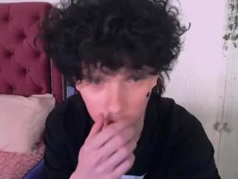 metlvv webcam model stream image
