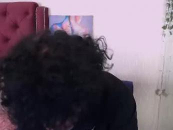 metlvv webcam model stream image