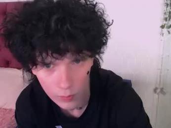 metlvv webcam model stream image