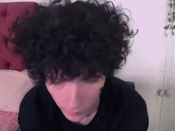 metlvv webcam model stream image