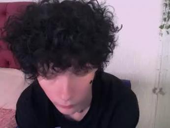 metlvv webcam model stream image