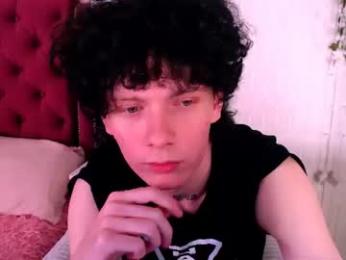 metlvv webcam model stream image