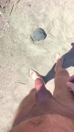 1osom webcam model stream image