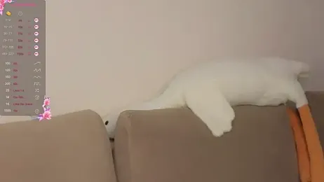 roxydolll webcam model stream image