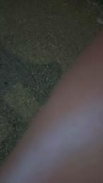 Sofia_hotgirl webcam model stream image