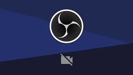 Blaze_sw webcam model stream image