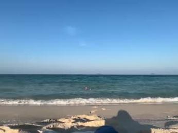 sexual_sbotage webcam model stream image