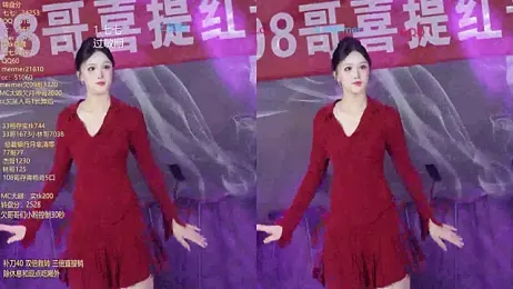 SK010 webcam model stream image