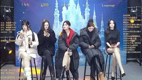 SK010 webcam model stream image