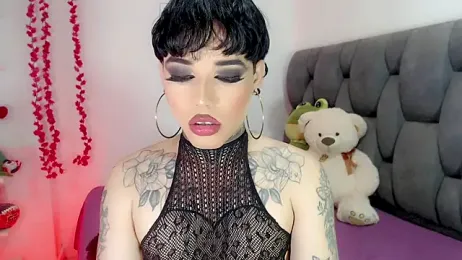 little_star_porn webcam model stream image