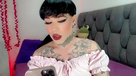 little_star_porn webcam model stream image