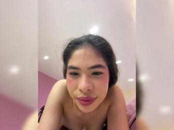 LeiaStone webcam model stream image