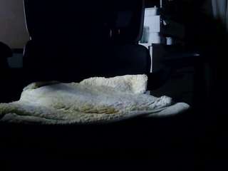 fucker1965 webcam model stream image