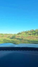 Gerontofilia webcam model stream image