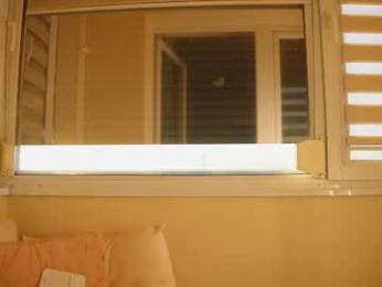 sweet_adelee webcam model stream image