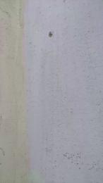 raul4396624 webcam cam4 model stream image