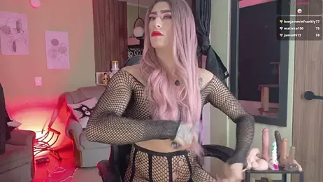 tevenwhiite webcam stripchat model stream image