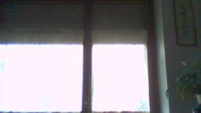 cpl_porca50 webcam model stream image