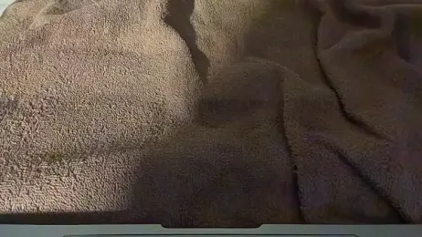 HungRowdyCowboy webcam model stream image