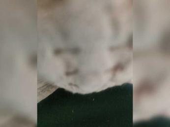 SonoVergine webcam model stream image