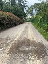 toritoga webcam stripchat model stream image