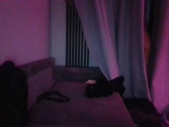 Shatensexy webcam model stream image