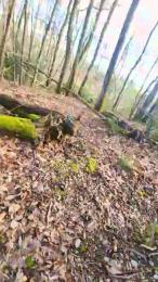 Legtiste webcam cam4 model stream image