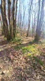 Legtiste webcam cam4 model stream image