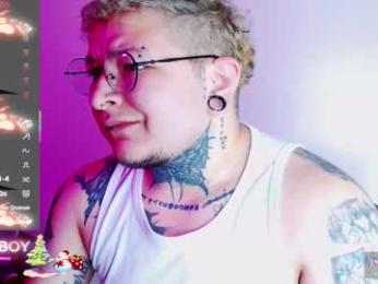prince_ftm1 webcam model stream image