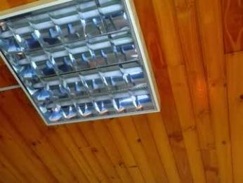 estebanchar_ webcam model stream image