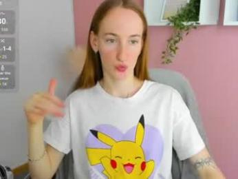 jaidii_ webcam model stream image