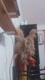 Deysi8 webcam model stream image