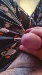 robygig webcam model stream image