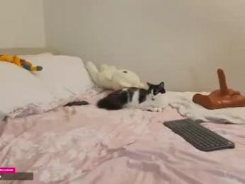 daliapunkt webcam chaturbate model stream image