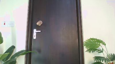 Shayne_Akinyi webcam model stream image